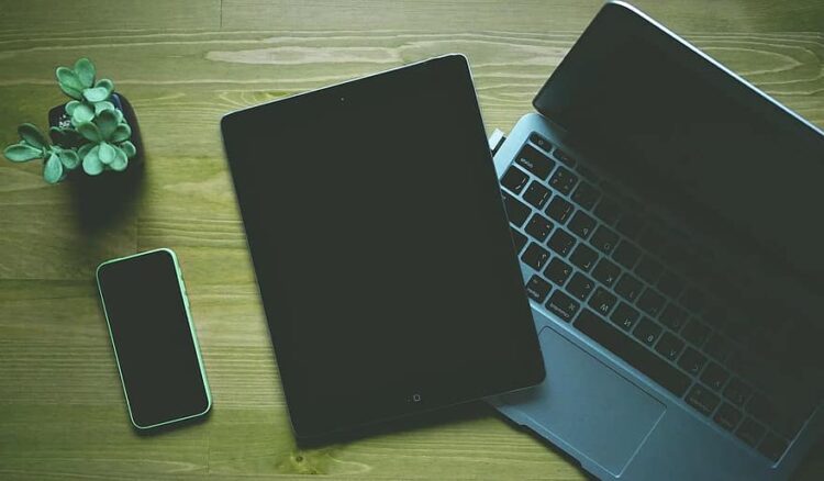 Future Careers: In-Demand Skills for the Digital Age